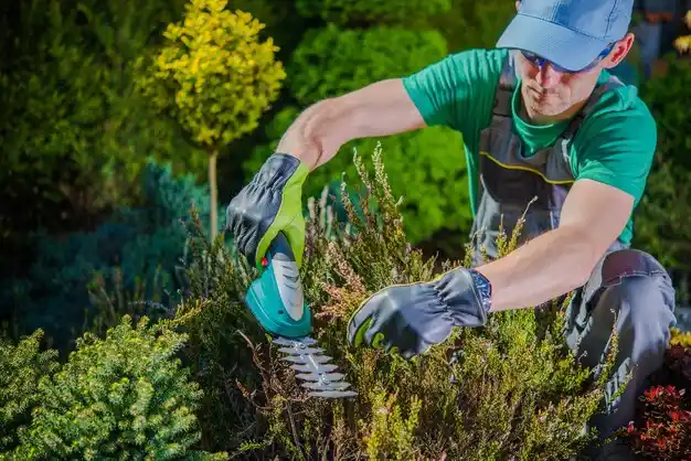 landscaping services Pearlington